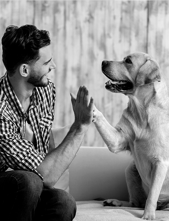 Guy with his dog giving a high five.